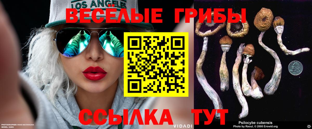 Острогожск  Галлюциногенные грибы прущие грибы  Вход с VPN 