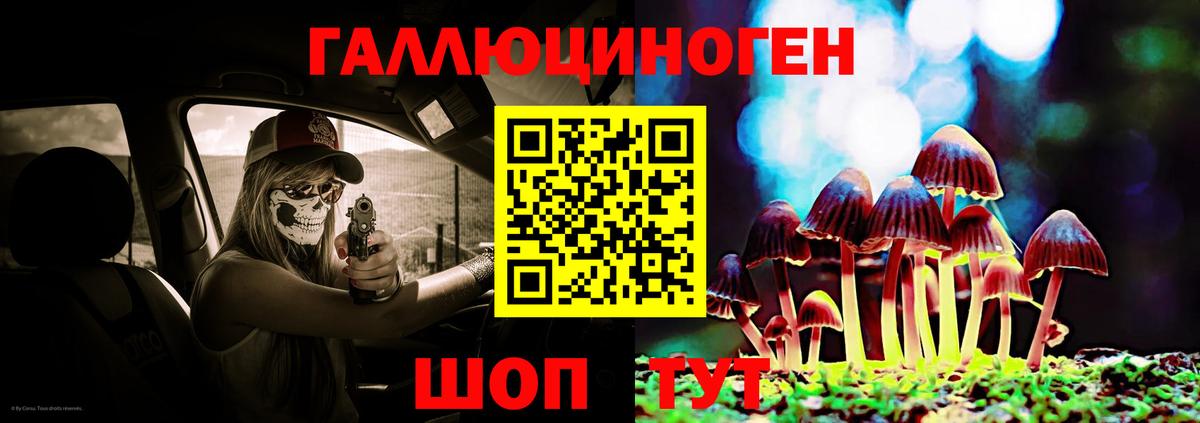 Галлюциногенные грибы Psilocybe Острогожск